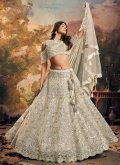 Beige Readymade Lehenga Choli in Net with Embroidered - 1