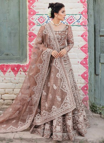 Dazzling Brown Net Embroidered Gown