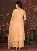 Embroidered Organza Peach Salwar Suit - 2