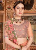 Net Designer Saree in Peach Enhanced with Embroidered - 1