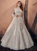 Net A Line Lehenga Choli in Off White Enhanced with Embroidered - 2