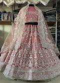 Remarkable Pink Net Embroidered Designer Lehenga Choli - 2